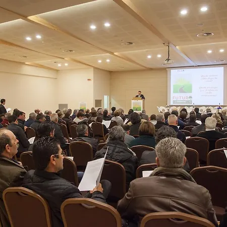 Western Leone Di Messapia & Conference Lecce
