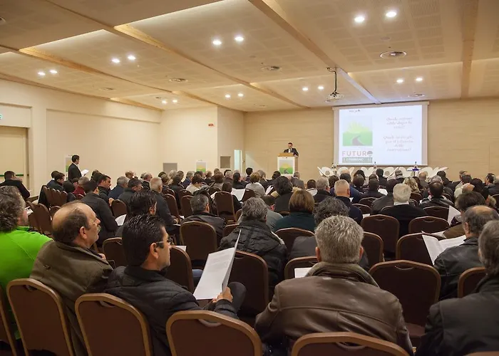 Western Leone Di Messapia & Conference Lecce